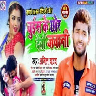 Jawani Chustau Chhaura (Anil Yadav) Mp3 Songs