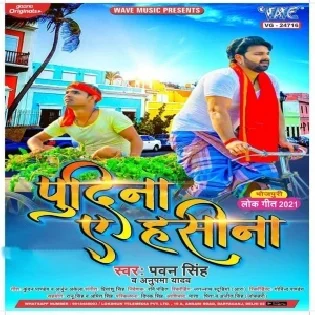 Pudina A Hasina ( Pawan Singh ) Dj Song