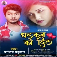 Tera Diwana Rishta Duniya Se Tod Lega Dhadkan Ka Dil Ae Dhadkana Bhi Chhod Dega Mp3 Song