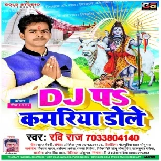 Dj Pa Kamariya Dole He Mp3 Song