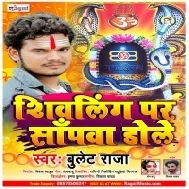 Shivling Par Sapwa Dole He Mp3 Song