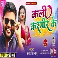 Hum Patna Ke Raja Tu Kali Kashmir Ke Dilwa Me Leke Ghumi Tohar Tasveer Ke Mp3 Song