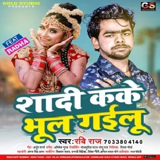 Shadi Kake Bhul Gailu Mp3 Song