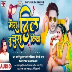 Mera Dil Tu Chura Liya (Shani Kumar Shaniya, Shilpi Raj) 2021 Mp3 Song