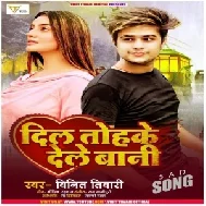 Dil Tohake Dele Bani (Vinit Tiwari) 2021 Mp3 Song