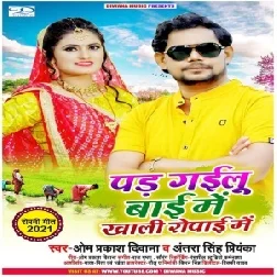 Pad Gailu Bai Me Khali Ropai Me (Om Prakash Diwana, Antra Singh Priyanka) 2021 Mp3 Song