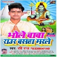 A Bhole Baba Raur Basaha Ba Marle Kehu Na Ail Bachawe He Mp3 Song