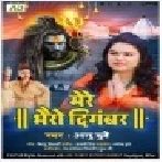 Mere Bhairo Digambar Mere Bholenath Mp3 Song