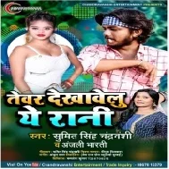 Tewar Dekhawelu Ae Rani Jawani Leke Kahe Karelu Manmani Mp3 Song