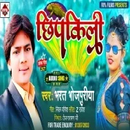 Chhipkali Je Na Chipke Diwar Se Ona Chipkal Rahab Bhatar Se Mp3 Song