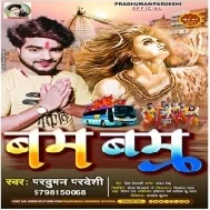 Chadhal Sawan Raja Aaja Na Ghare Baba Ke Nagariya Mp3 Song