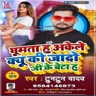 Ghumta Hu Akela Ku Ki Yadav Ji Ke Beta Hu Mp3 Song