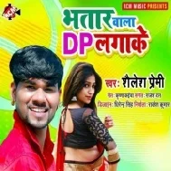 Bhatar Wala DP Lagake Mp3 Song