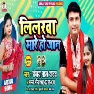 Lilarawa Mare Ho Jaan Kahawa Ke Tikuli Mp3 Song