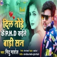 Dil Tode Ke PHD Kaile Badi San Mp3 Song