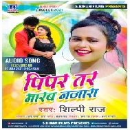 Pipar Tar Marab Najara (Shilpi Raj) 2021 Mp3 Song