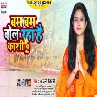 Bam Bam Bol Raha Hai Kashi Mp3 Song