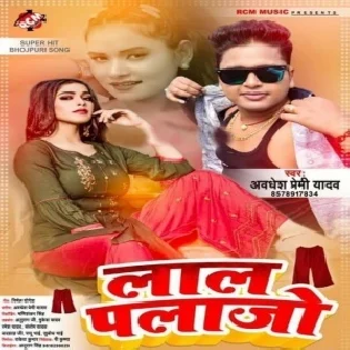 Delhi Se Lele Aiha Lalka Ago Plazo Jija Ji Mp3 Song