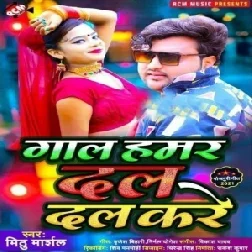 Gal Hamar Dal Dal Kare (Mithu Marshal) 2021 Mp3 Song