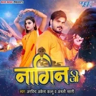 Nagin Ji (Arvind Akela Kallu ) Dj Song