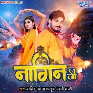 Nagin Ji (Arvind Akela Kallu ) Dj Song