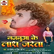 Mor Majanua Ke Lash Jarata (Albela Ashok) 2021 Mp3 Song