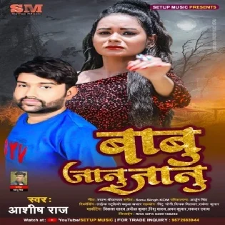 Babu Janu Janu Kahike Roi Mp3 Song