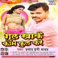 Gul Khake Kaam Full Kare (Pramod Premi Yadav , Shilpi Raj) Dj Remix Songs