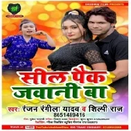 Seal Pack Jawani Ba Mp3 Song