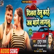 Dilwa Delu Kawana Kaam Ke Fir Mange Lagalu Mp3 Song