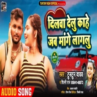 Dilwa Delu Kawana Kaam Ke Fir Mange Lagalu Mp3 Song