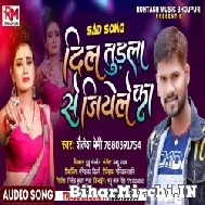 Dil Tudla Se Jiyele Ka (Shailesh Premi) 2021 Mp3 Song