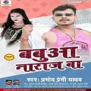 Bahut Aaili Bahut Gaili He Babua Ke Na Khush Kaili Mp3 Song