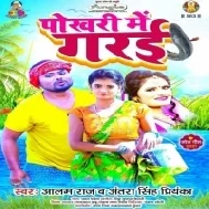 Tohare Pokhariya Me Charga Ba Kudal Mp3 Song