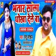 Bhatar Sala Dhokha Deta Mp3 Song