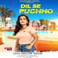 Dil Se Puchho Kya Tum Thik Kiye Mp3 Song