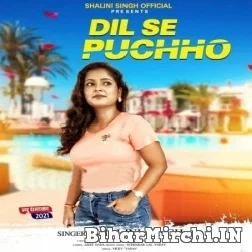 Dil Se Puchho (Shalini Singh) 2021 Mp3 Song