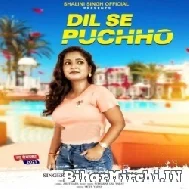 Dil Se Puchho (Shalini Singh) 2021 Mp3 Song