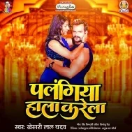 Saati Ke Korwa Bhorwa Le Piyawa Bhala Karela Palagiya Hala Karela Mp3 Song