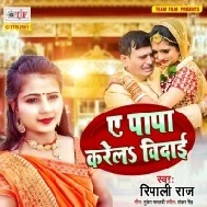 Ae Papa Tohara Dayawo Na Aail Bitiya Ke Karela Vidai Mp3 Song