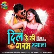 Tohar Dil Paisa Par Bechala Dekhe Me Chokh Badu Mp3 Song