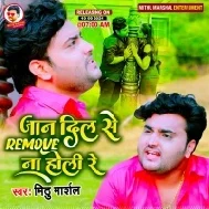 Jaan Dil Se Remove Na Holi Re Mp3 Song