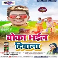 Boka Bhail Diwana Mp3 Song