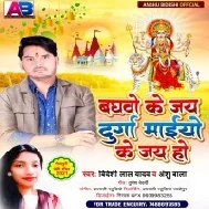 Baghao Ke Jay Durga Maiyo Ke Jay Ho Mp3 Song