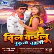 Dil Kailu Chukuni Chukuni Mp3 Song