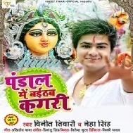 Bandh Ke Lalka Pagari Ho Pandal Me Baithab Ae Kagari Ho Mp3 Song