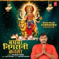 Maai Baghwa Tohar Aagwa Nigraani Karata Mp3 Song