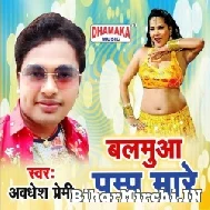 Balamua Pump Mare (Awadhesh Premi Yadav) Mp3 Song