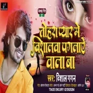 Tohara Pyar Me Vishalwa Paglay Wala Ba Mp3 Song