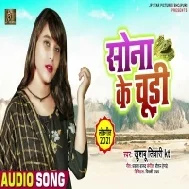 Bahara Se Balamu Lele Aiha Sona Ke Chudi Mp3 Song